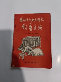 盎古拉兔力克斯兔饲养手册