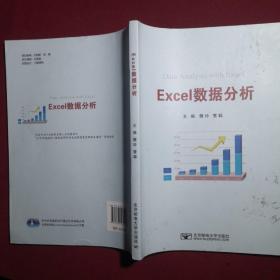 Excel数据分析/樊玲