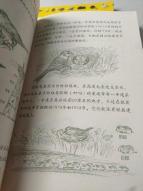 鸟巢探秘(如图，2本合售)