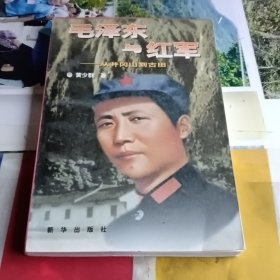 毛泽东与红军 ：从井冈山到古田