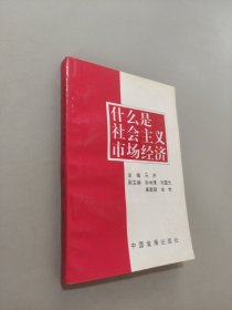 什么是社会主义市场经济