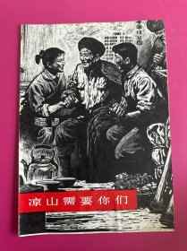 凉山需要你们