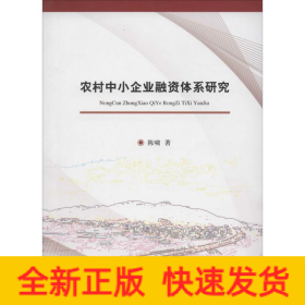 农村中小企业融资体系研究