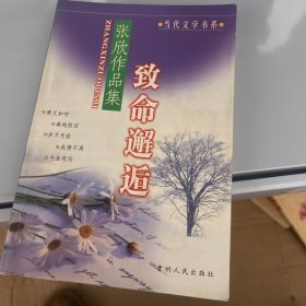 张欣作品集致命邂逅