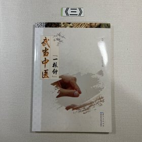 武当中医一根针