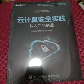 云计算安全实践——从入门到精通(博文视点出品) 