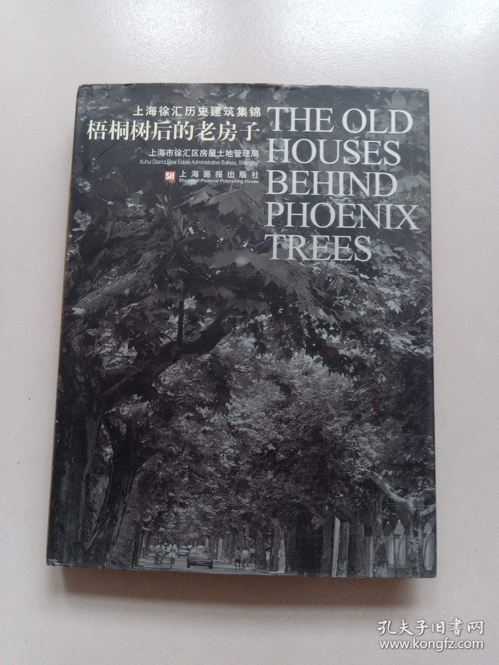 梧桐树后的老房子