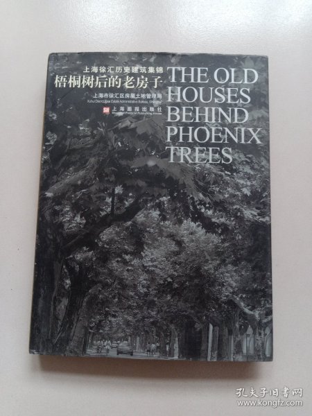 梧桐树后的老房子