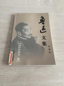鲁迅文集 导读本 花边文学