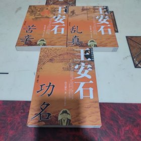 长篇历史小说——王安石:功名（全三册）