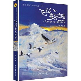 飛越喜馬拉雅