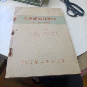 人体组织胚胎学1962年