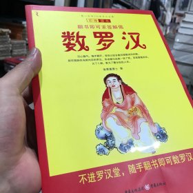 数罗汉