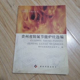贵州省防氟节能炉灶选编