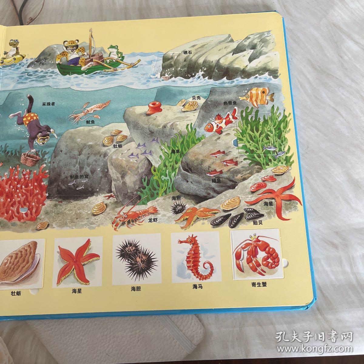 托尼.沃尔夫翻翻书 海洋