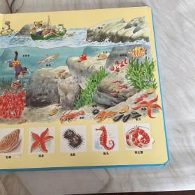 托尼.沃尔夫翻翻书 海洋