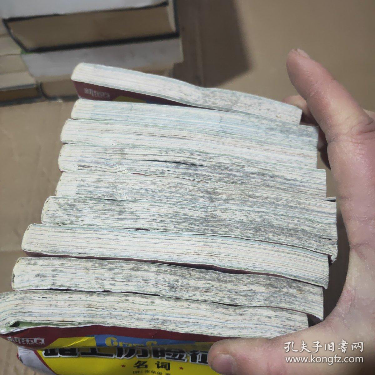 格莱姆森林英语语法历险记1:1-10缺5）