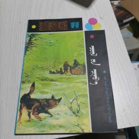 世界儿童文学全集（11）荒野之狼（蒙）
