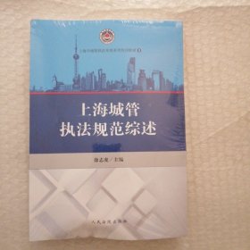 上海城管执法规范综述