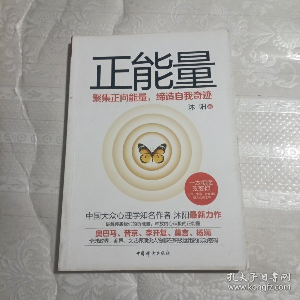 正能量——聚集正向能量，缔造自我奇迹（全球政商达人、社会名流、学界精英受益匪浅的坚定信仰！践行正能量法则，引领云时代征程！）