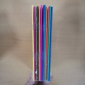 瑞思幼儿园Pre-K阶段.瑞思学科英语（12本合售）