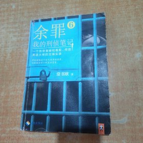 余罪6：我的刑侦笔记