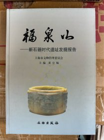 福泉山：新石器时代遗址发掘报告