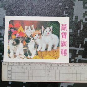 小花猫新年贺卡