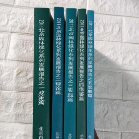 2011北京凌源氯化系列发展报告，全五册，政策篇，理论片，实战篇，借鉴篇，发展篇