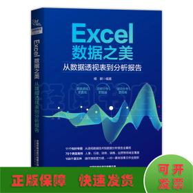 Excel数据之美：从数据透视表到分析报告