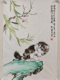 【孙菊生】花鸟画《猫趣图》一幅，45厘米//68厘米，喜欢的私聊