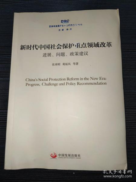 新时代中国社会保护重点领域改革：进展、问题、政策建议（国务院发展研究中心研究丛书2018）