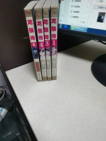 龙狼传4本