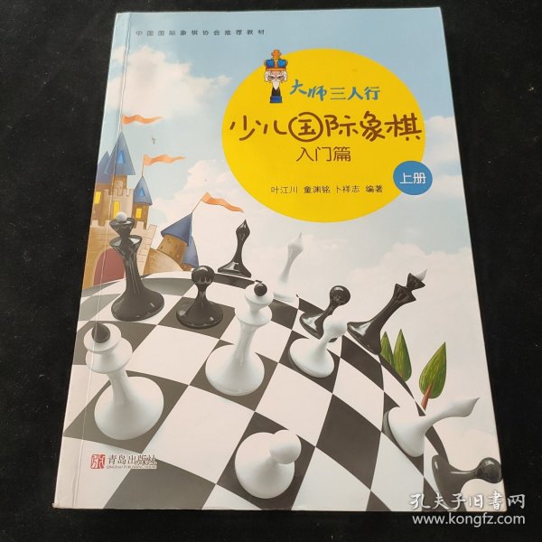大师三人行-少儿国际象棋入门（上下册）