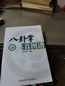 八卦掌述真图谱