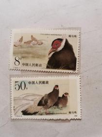 邮票 T134褐马鸡