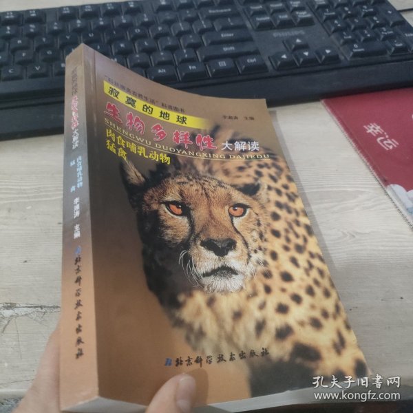 凶猛的猎手——珍稀野生动物大解读