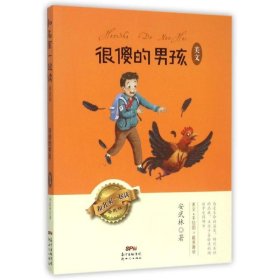 很傻的男孩 美文