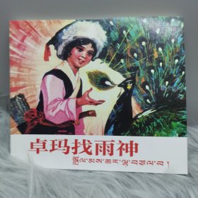 卓玛找雨神