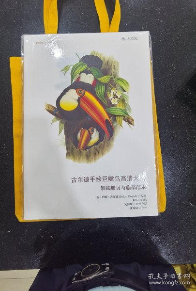 古尔德手绘巨嘴鸟高清大图 装裱册页与临摹范本