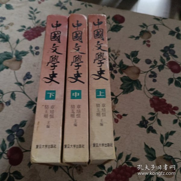 中国文学史（上中下）