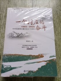 一个村庄的奋斗:1965—2020