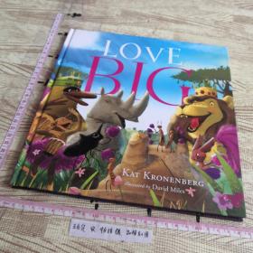 Love Big 精裝