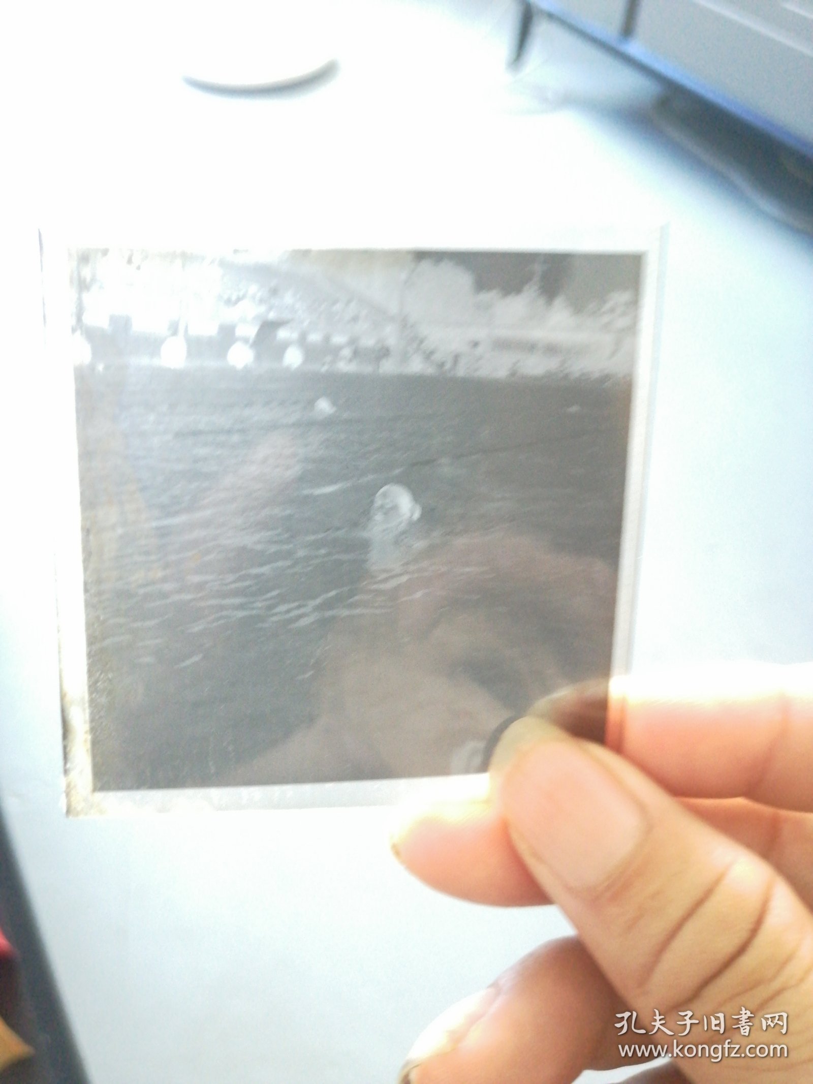 三届省运会游泳比赛，破少年纪录，1974年8月在成都