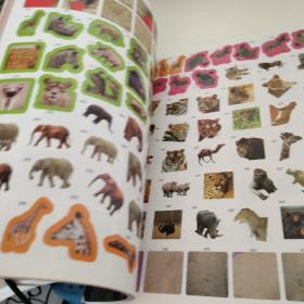1000 Animal Stickers 1000个动物贴纸