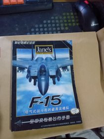 F-15喷气式战斗机的最真实模拟 全中文专家飞行手册