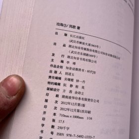 沧海 3：金刚法藏 新武侠书系：凤歌作品集8