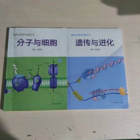 高中生物学深度学习 遗传与进化