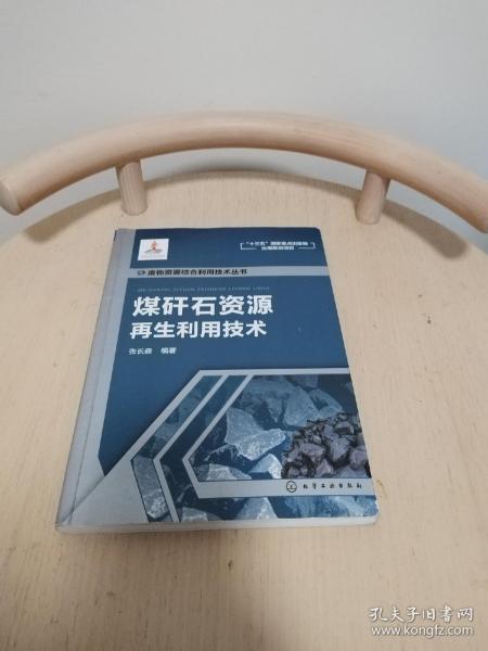 废物资源综合利用技术丛书--煤矸石资源再生利用技术