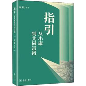 指引 从小康到共同富裕 经济理论、法规 作者 新华正版